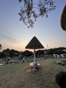 农场环境