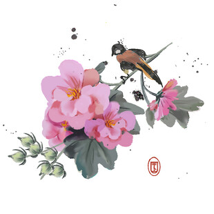 花鸟图