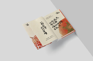 精装硬壳样机 