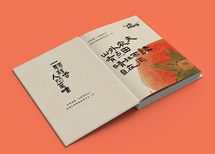 精装硬壳样机 