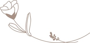 简约线条花卉图案设计