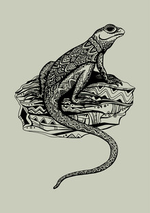 岩石上的蜥蜴插画
