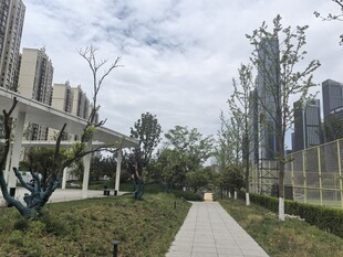 城市中的静谧园林小径