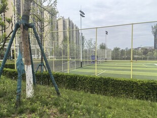 户外足球场及周边景致