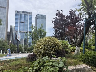 城市中的绿植景观一角