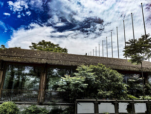 中式建筑前的蓝天白云绿植