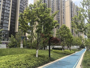 小区内的林荫步道景观