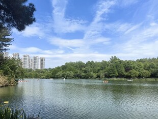 湖畔风光 绿树蓝天映碧水