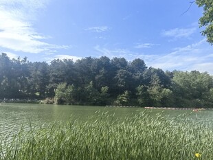 绿野蓝天间的自然美景