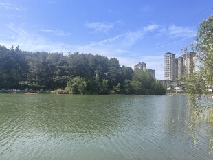 湖畔风光 绿树环绕的水域