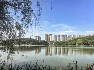 湖畔城市风光 宁静美景
