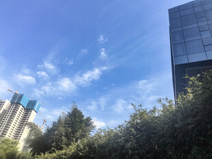 城市中蓝天绿树与建筑景观