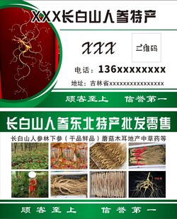 长白山人参批发名片
