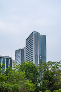 城市中绿树环绕的高楼大厦
