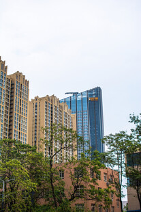 城市高楼与绿树景观