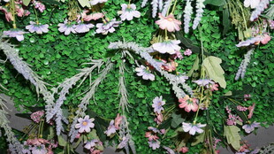 地面散落的多彩植物叶片