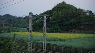 田野间的输电塔
