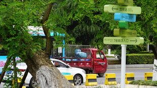 道路旁的多彩指示牌