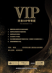VIP尊贵特权服务介绍