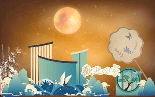 梦幻城市月夜飞鸟背景墙  