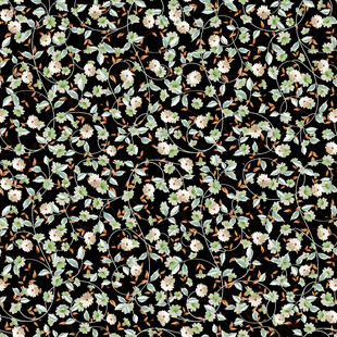 黑色背景上的多彩花