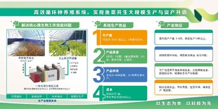 企业站展板
