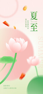 夏至时节荷花绽放