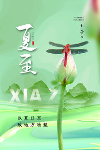 夏至时节蜻蜓立荷尖