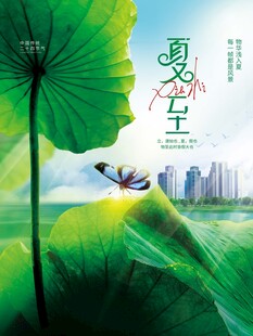 夏日蜻蜓荷叶城市风光