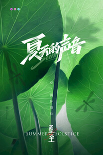 夏日荷塘静美之景