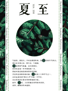 夏至节气海报设计元素