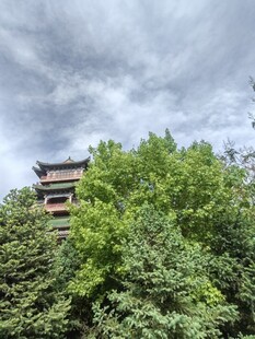 绿树掩映中的古朴楼阁