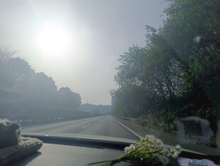  清晨