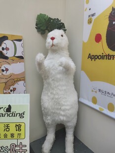 兔子玩偶