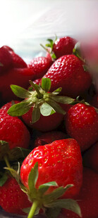 新鲜饱满的草莓果实