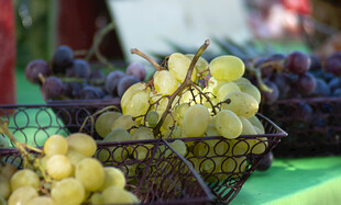 新鲜葡萄摆放在篮子中