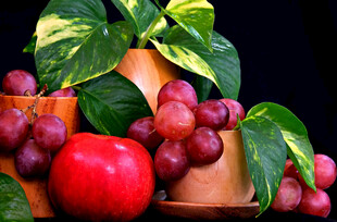 陶罐旁的红苹果与紫葡萄