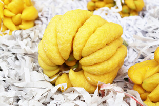 黄色南瓜置于碎纸屑上