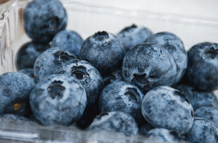 新鲜饱满的蓝莓果实