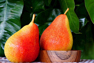 彩梨置于木盘绿叶相伴