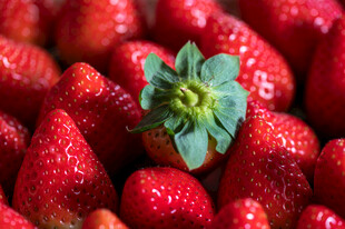 鲜红草莓中的翠绿果蒂