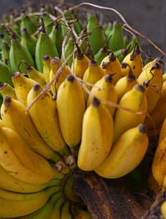 新鲜饱满的成串香蕉