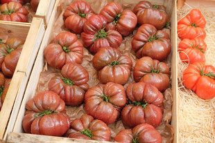 木盒中的新鲜多色番茄