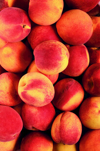 饱满多汁的新鲜水蜜桃