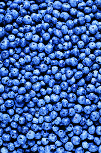 蓝色颗粒密集纹理画面