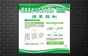 国家基本公共卫生服务