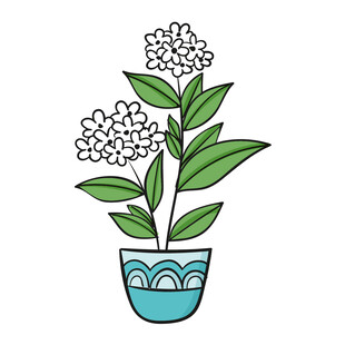 盆栽花卉插画