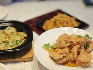 多样美味中式菜肴展示