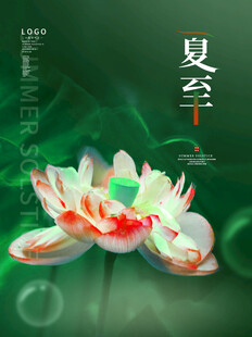 夏日盛开的精美莲花
