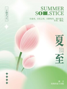 夏至时节粉色荷花海报